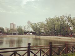 -迎泽公园