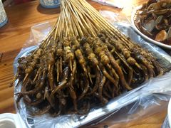 -十里铺铁板鱿鱼