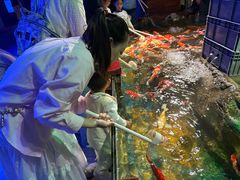 -太平洋海底世界