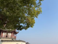 -观潮胜地公园