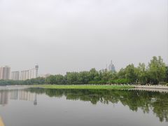-莲花池公园