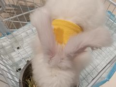 -怪兽屋·羊驼·猫咖·狗咖(俊华广场店)