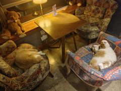 -咖法森林·咖啡  酒吧(天河店)