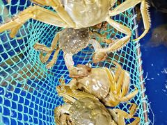 -阳澄湖大闸蟹·琼灵阁牌品牌连锁(吴中总店)