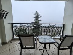 -随州碧桂园凤悦凤凰酒店