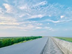 -南汇嘴观海公园