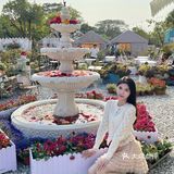 绣球花真的好温柔💐海如的花园