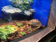 -上海海洋水族馆