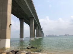 -中澳友谊花园