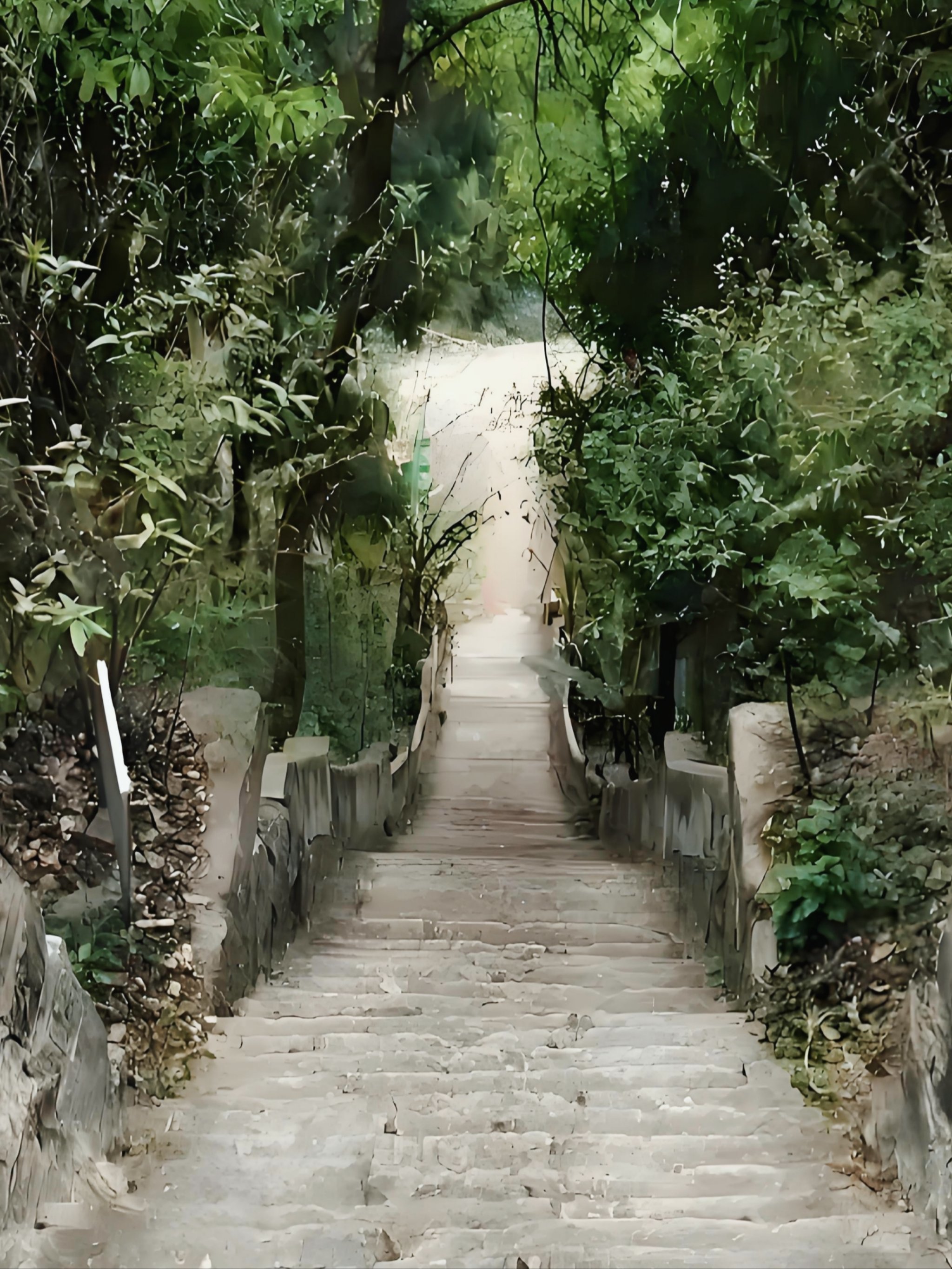 逃离喧嚣来鸭鹤岩与夏日贴贴