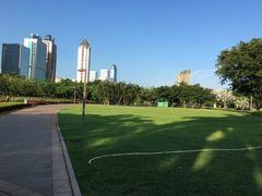 -万绿园