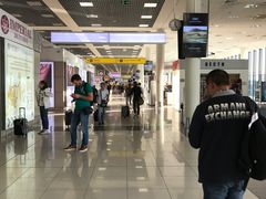 -谢列梅捷沃国际机场