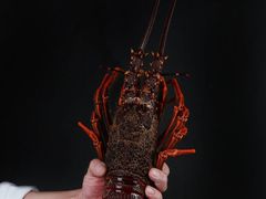 -西村日本料理(香格里拉饭店)