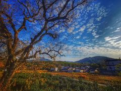-塔川景区