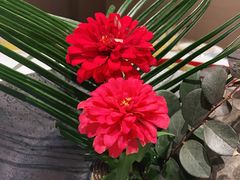 -上座云间·青年赣菜(绿茵店)