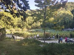 -香山公园-东宫门售票处