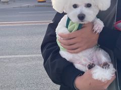 -哈尼爱宠·宠物生活会馆