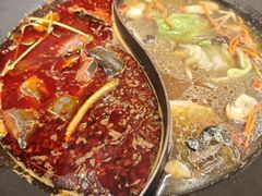 -新辣道鱼火锅(龙旗广场店)