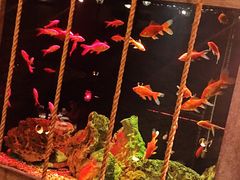 -老船坞餐厅(北京亚洲大酒店 )