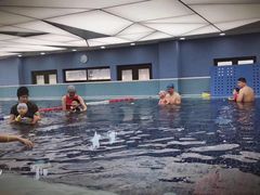 -龙格亲子游泳·水育早教运动中心(绿城店)