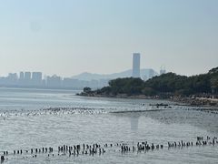 -深圳湾公园(南山区)