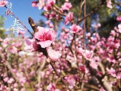 -云南艺术学院(呈贡校区)