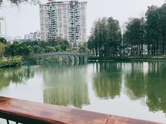 -四海公园(南山区)