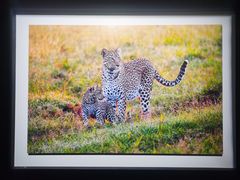 -罗红摄影艺术馆