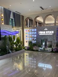 -深圳美莱医疗美容医院