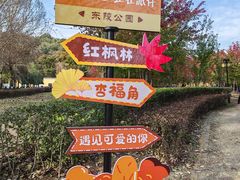-沈阳市东陵公园