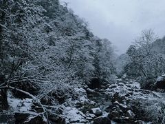 -西岭雪山大飞水景区