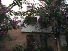 -三亚珠江南田温泉度假区