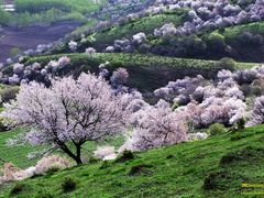 -新疆那拉提国家旅游度假区