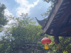 -黄龙溪古镇