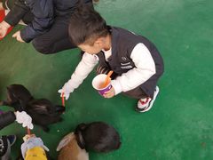 -黄龙溪欢乐田园