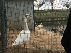 -上海海事大学(临港校区)