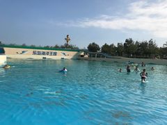 -秦皇岛乐岛海洋王国