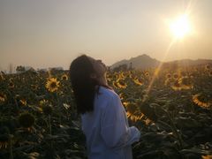 -光明小镇欢乐田园