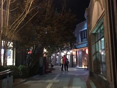 -龙湖星悦荟(颐和店)
