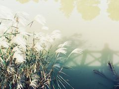 -苏体天云湖运动度假村