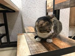 -玉椰林甜品店(创始店)