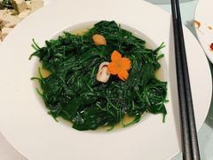 上汤枸杞叶-小南洋海景餐厅(深圳湾店)