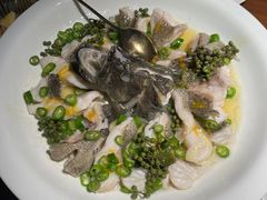 青青椒麻龙胆鱼-CHIC1699远洋私厨