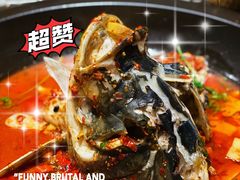 黄晓猫剁椒鱼头-黄晓猫剁椒大鱼头(海岸城店)