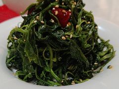 -老碗会·陕西手工面(前海世茂店)