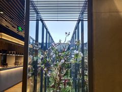 -拈菜(观音桥阳光世纪店)