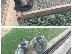 -石家庄市动物园