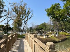 -江心屿景区