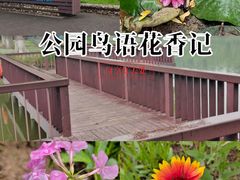 -稻香湖公园