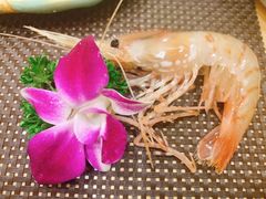 -酒久自助料理(佳兆业店)